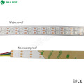 ws2812b sk6812 5 v dotstar duplo Led Faixa de Pixel 15mm 120 leds / m smd5050 rgb